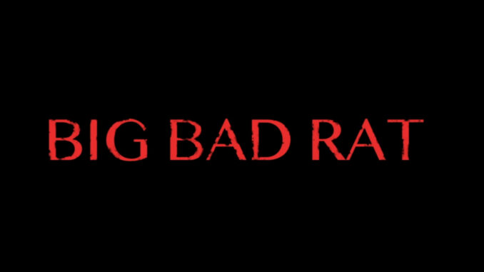 Big Bad Rat